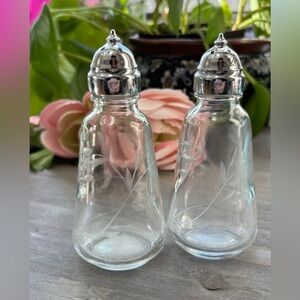 Princess House Salt Pepper Set Floral Etched Crystal, Midcentury